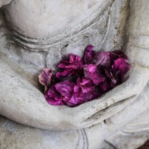 stone buddha statue with clasped hands full of purple petals